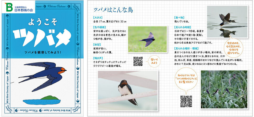 公共財団法人「日本野鳥の会」パンフレット『ようこそツバメ』