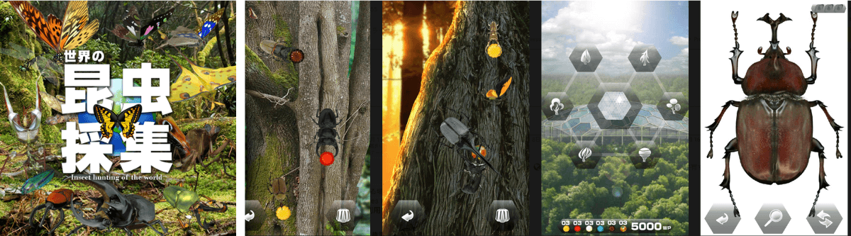 アプリでリアルな昆虫採集「世界の昆虫採集」